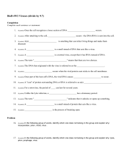 BioB 4W2 Viruses (divide by 9.7)