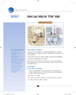 Section 5 - acpmvannucci