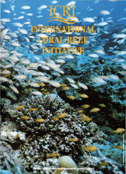 The International Coral Reef Initiative