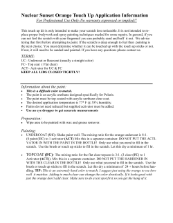 Nuclear Sunset Orange Touch Up Application Information