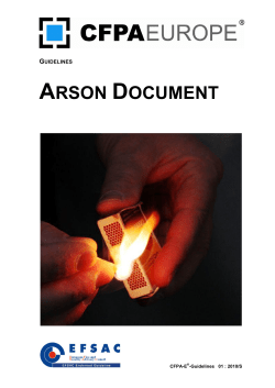 ARSON DOCUMENT