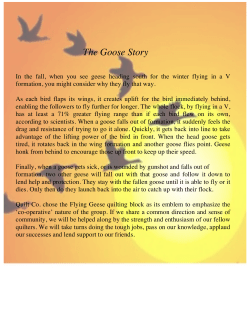 The Goose Story