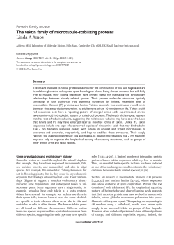 The tektin family of microtubule-stabilizing proteins