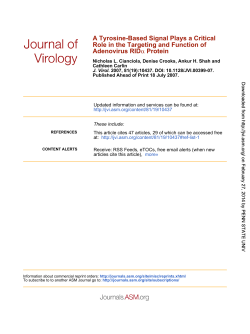 Protein &alpha; Adenovirus RID Role in the Targeting and Function of A