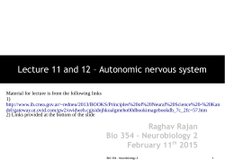 Lecture 11 and 12 &ndash; Autonomic nervous system