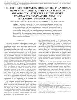 THE FIRST SUBTERRANEAN FRESHWATER PLANARIANS FROM