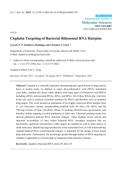 Cisplatin Targeting of Bacterial Ribosomal RNA Hairpins