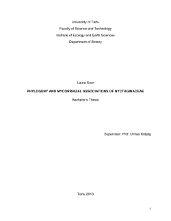 Summary Phylogeny and mycorrhizal associations of Nyctaginaceae
