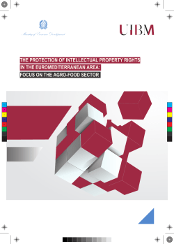 focus on the agro-food sector