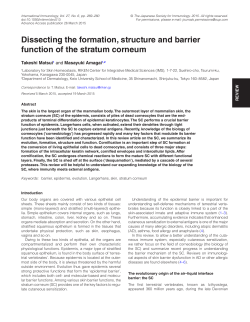 Dissecting the formation, structure and barrier