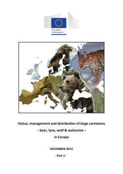 Status, management and distribution of large carnivores &ndash; bear, lynx