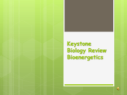 Bioenergetics review File