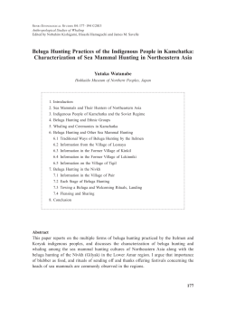Beluga Hunting Practices of the Indigenous People in Kamchatka