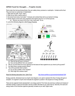 LAB 8 Eating at a Lower Trophic Level