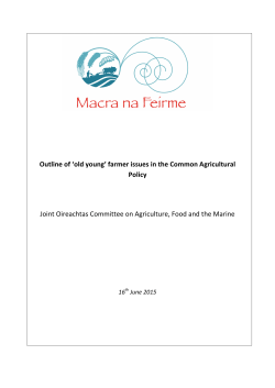 Outline of `old young` farmer issues in the Common Agricultural