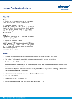Nuclear Fractionation Protocol
