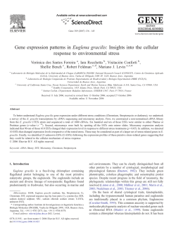 Gene expression patterns in Euglena gracilis
