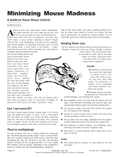 Minimizing Mouse Madness