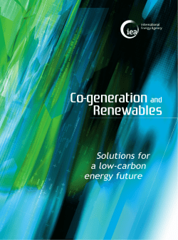 Co-Generation and Renewables - Environmental and Energy Study