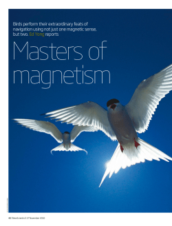 Magnetism - Discover Magazine Blogs
