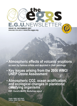 Key issues arising from the 2006 WMO/ UNEP Ozone Assessment