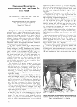 How antarctic penguins communicate their readiness for nest relief