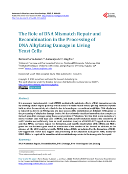 The Role of DNA Mismatch Repair and Recombination in the