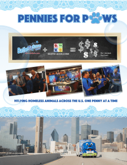 Helping Homeless Animals across the U.S. One Penny at a Time