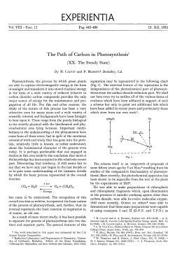 The path of carbon in photosynthesis