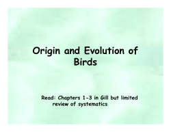Origin and Evolution of Birds
