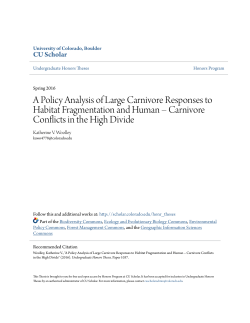 A Policy Analysis of Large Carnivore Responses to