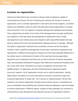 A primer on regeneration