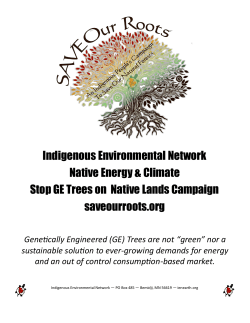 to View - Save Our Roots