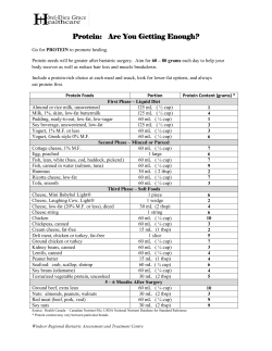 Protein: Are You Getting Enough?