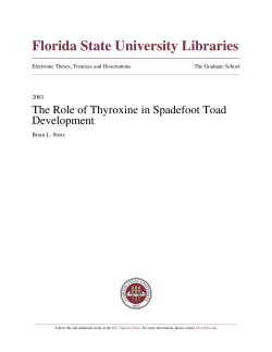 The Role Of Thyroxine In Spadefoot Toad Developement