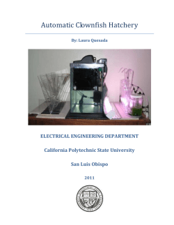 Automatic Clownfish Hatchery