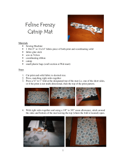 Feline Frenzy Catnip Mat