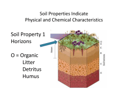 Soil Property 1 Horizons O = Organic Litter D t iterus Humus