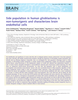 Side population in human glioblastoma is non