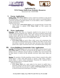 I. Energy Applications - McKinley Resources, Inc.