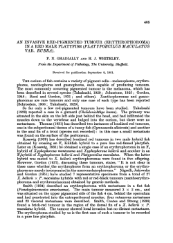an invasive red-pigmented tumour