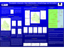 Floodplain - New Forest LIFE projects