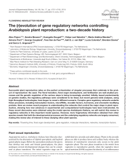 The (r)evolution of gene regulatory networks controlling Arabidopsis