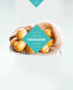 resistant potato