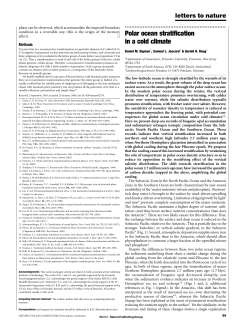 Polar ocean stratification in a cold climate