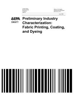 Preliminary Industry Characterization: Fabric Printing