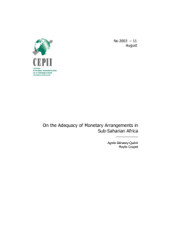 On the Adequacy of Monetary Arrangements in Sub