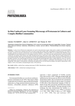 In Situ Confocal Laser Scanning Microscopy of Protozoans in