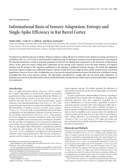 Informational Basis of Sensory Adaptation: Entropy and Single