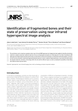 Identification of fragmented bones and their state of preservation